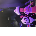 e1f1e