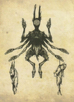 children of the astral