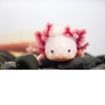 Axolotl team:)