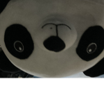 PANDAS ARE THE B3ST