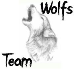 <Team of Wolves>