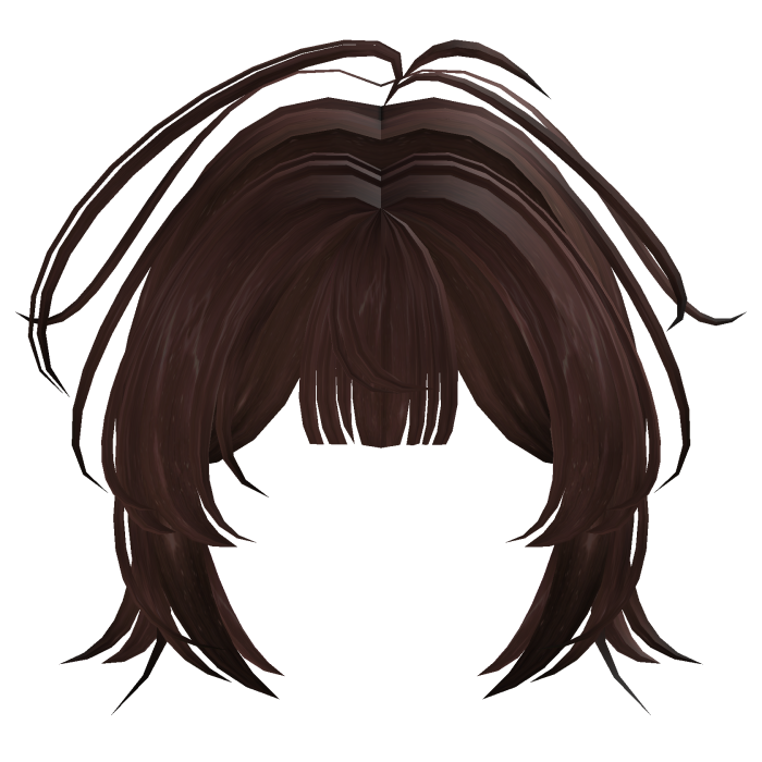 Fluffy Brown Bangs