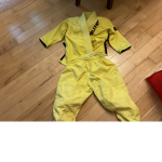 Jujitsu master