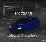 The head gaskets