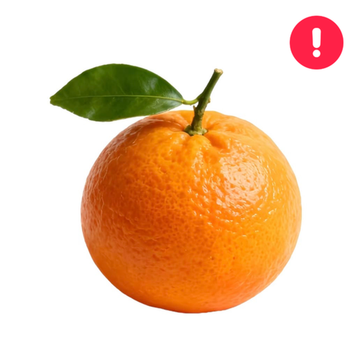 [🍊] Orange