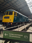 Trains, planes and buses!