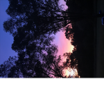 PurpleUnicorn5335