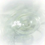 bright skies Group Thumbnail