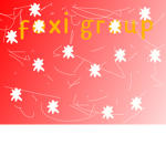 FOXI GROUP