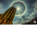 Cactus religion