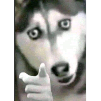 ############### Place