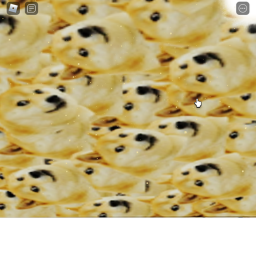Doges ONLY game