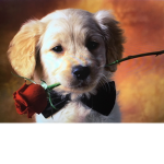Dogs are definitely awesome
