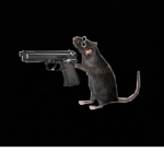COSMIC RATS