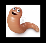 a worms habitat