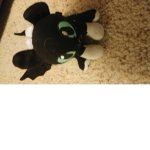 Black the night fury