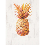 Pineapple Squad :3