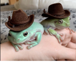 FROGIES UNITED
