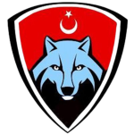 [ TDH ] Bozkurt Timi