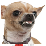 People with Cool Usernames