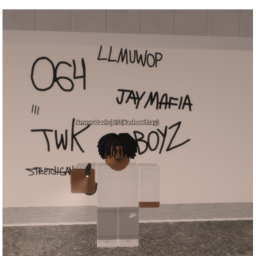 Chicago Woodlawn | WIP |