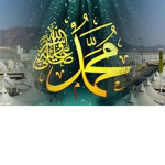 moh fan group
