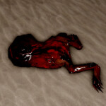 playtest