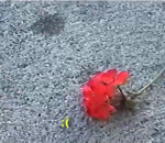 a little bit sad