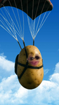 LZDRMS