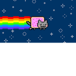 NYAN CATTTTTTTTT
