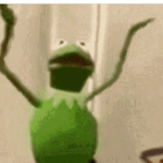 Frog yall