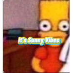 Its Sunny Vibes