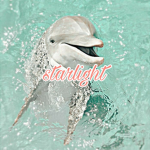 sᴛᴀʀʟɪɢʜᴛ