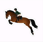 Springfield Equestrian Centre