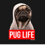The Pug Rappers