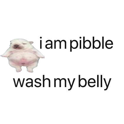 i am pibble belly text thumbnail