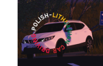 Official Group | Polish-Lithuanian Car Driving