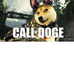 Call Of Doge