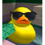 TY333333333