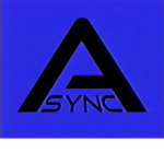 THE ASYNC TEAM