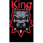 Shark kings