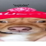 *explodes*