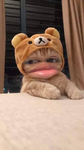 Softie_ chill_group