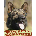 The Puppy Patrol