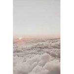 Aesthetic F r e j a