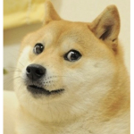 Doge_Clan123