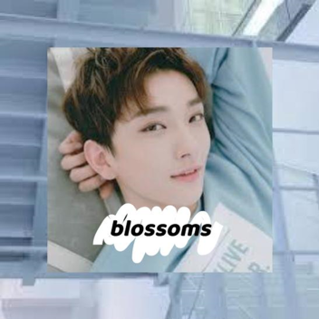blossoms (kpop hangout)