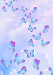 Butterflybesties4life