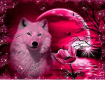 pink wolf