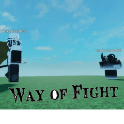 Way OF FIGHT